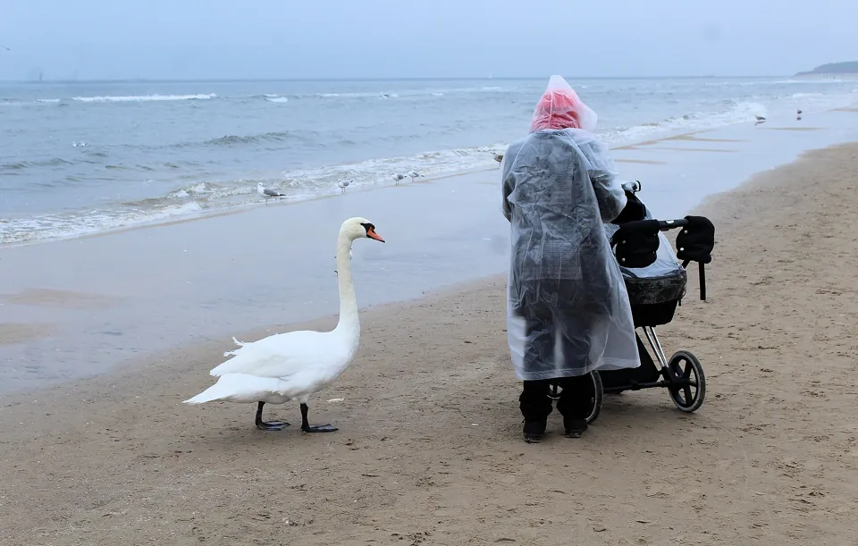 The beach out of season